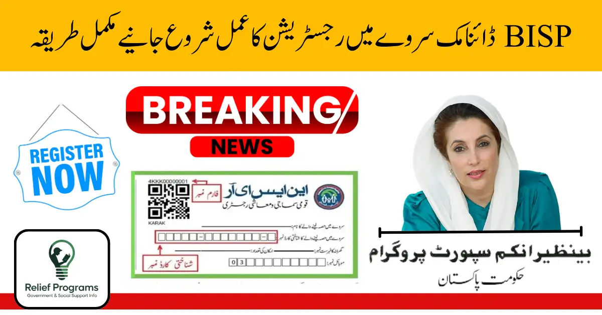 BISP Dynamic Survey