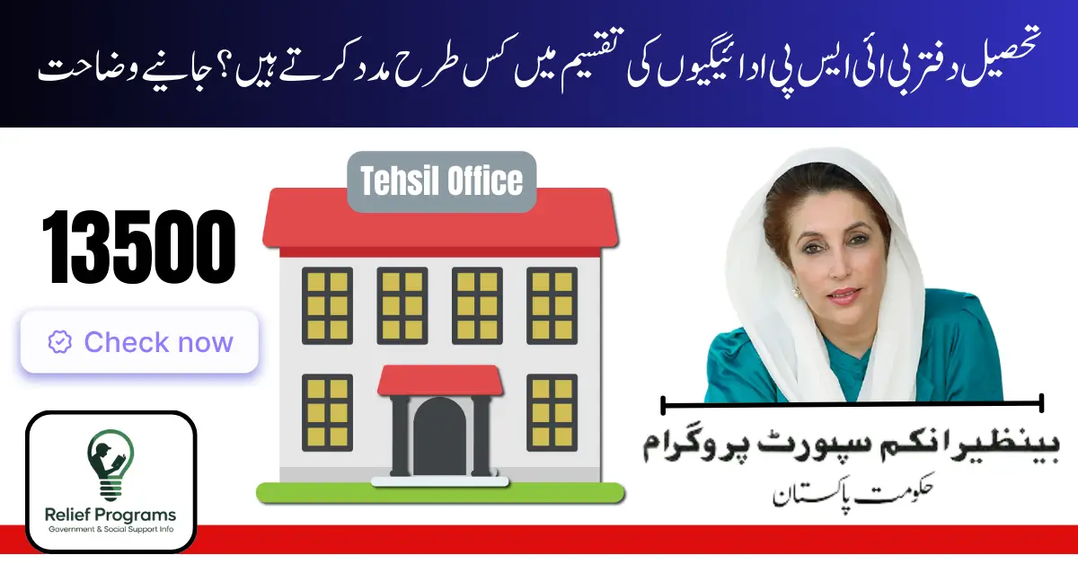 BISP Payments