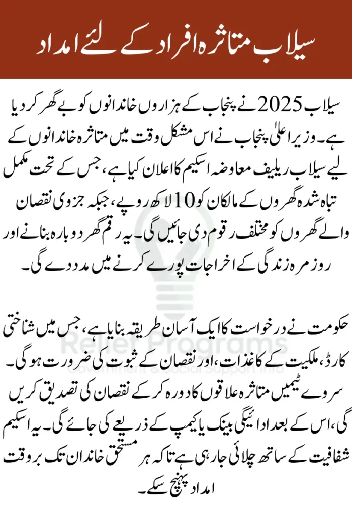 CM Punjab Flood Relief 2025