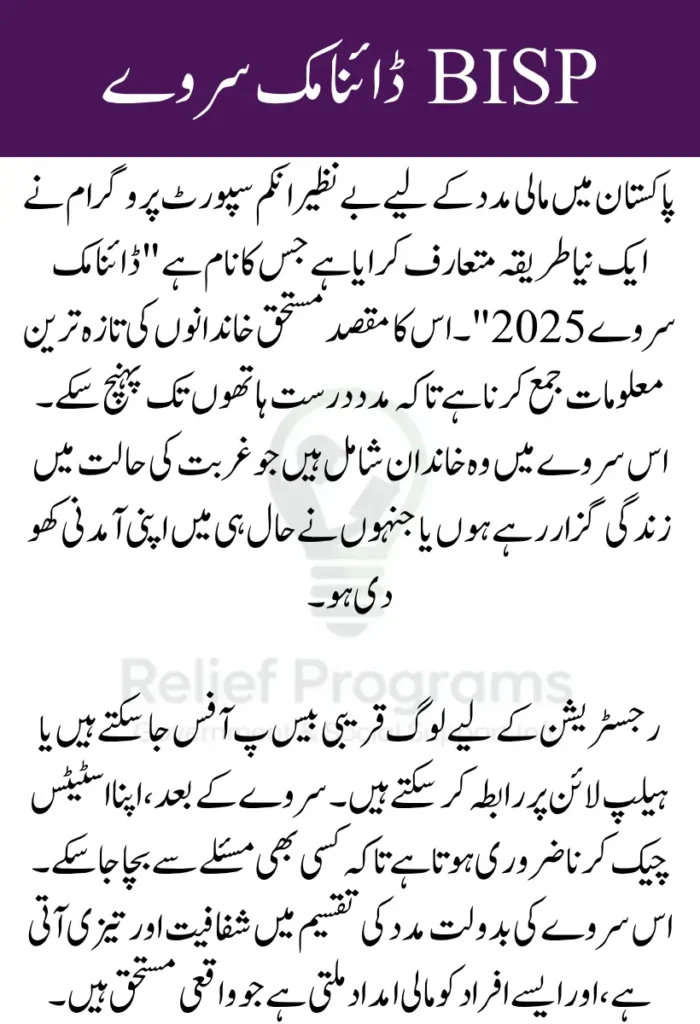 BISP Dynamic Survey 2025