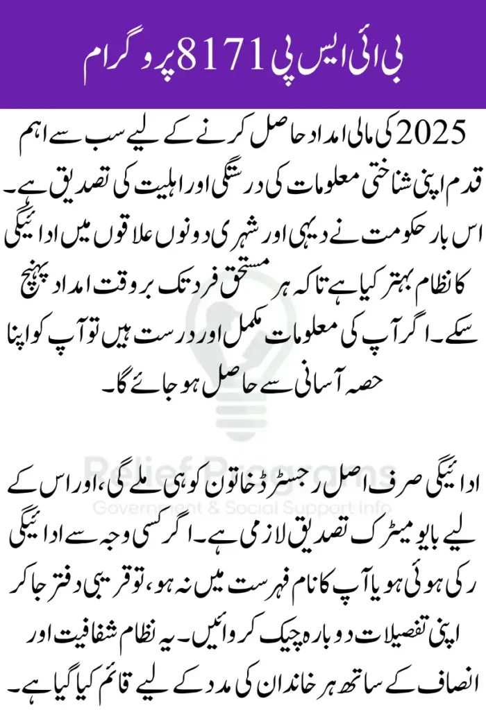 BISP 8171 Payments